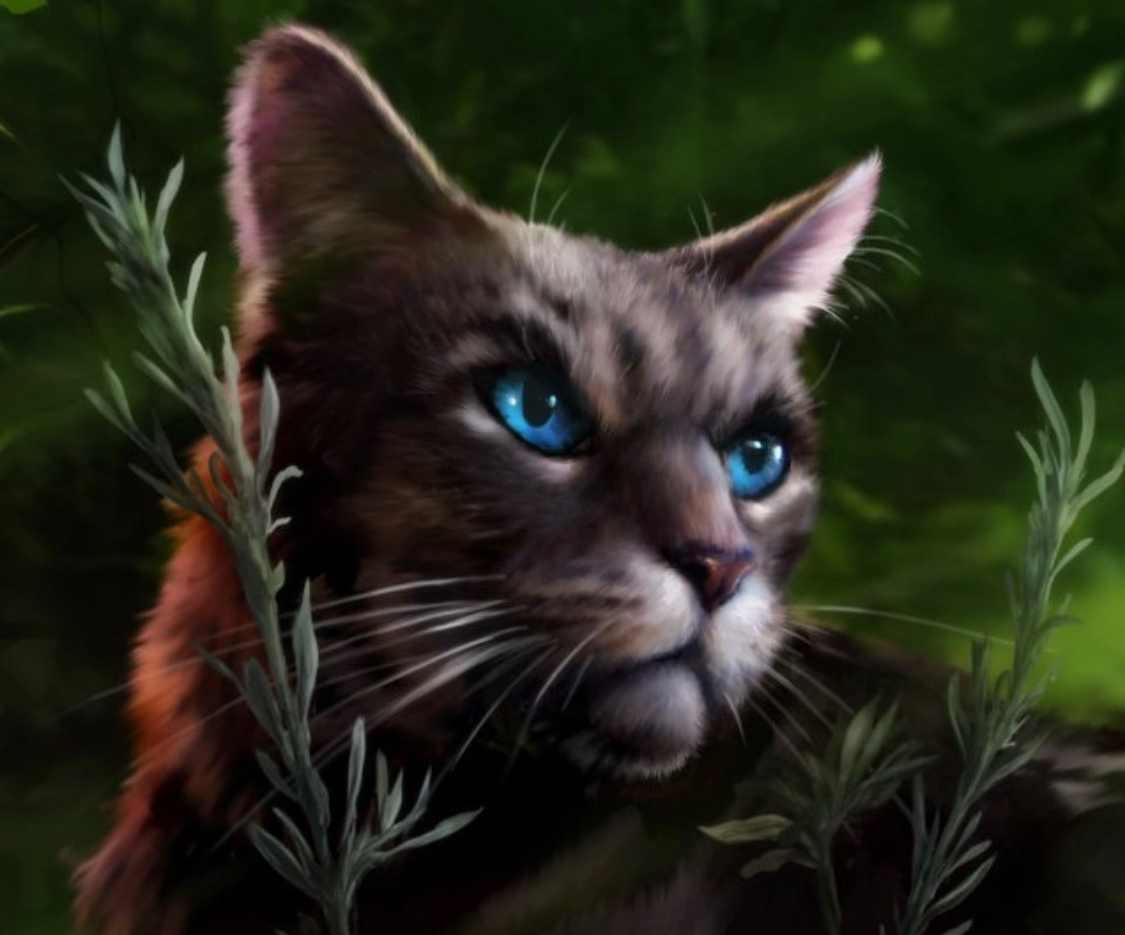 Ashfur